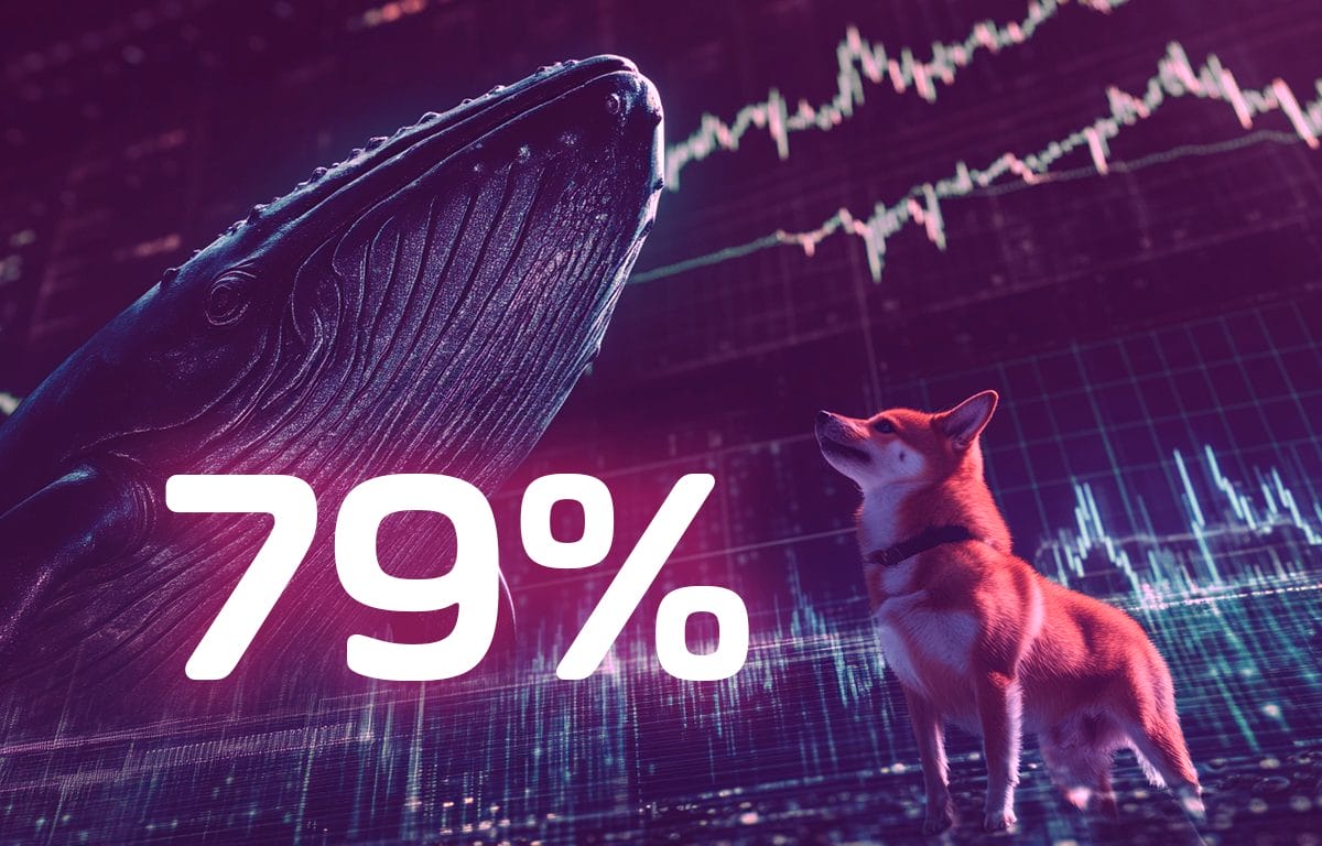 shiba-inu-whale-activity-plummets-79-should-shib-holders-be-worried