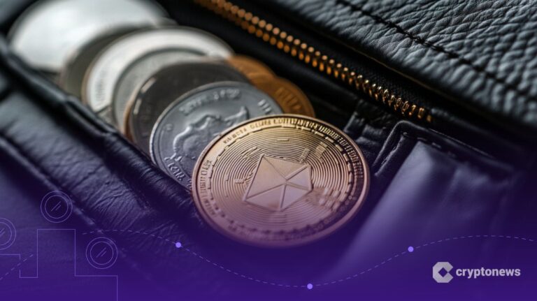 Active Stablecoin Wallets Surge Over 50% in One Year: Report