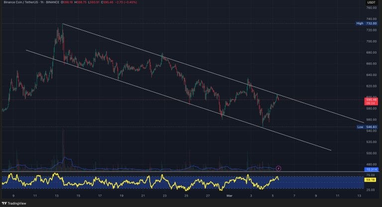 Binance Coin (BNB) Falls Below $600 – Can Bulls Hold This Critical Support?