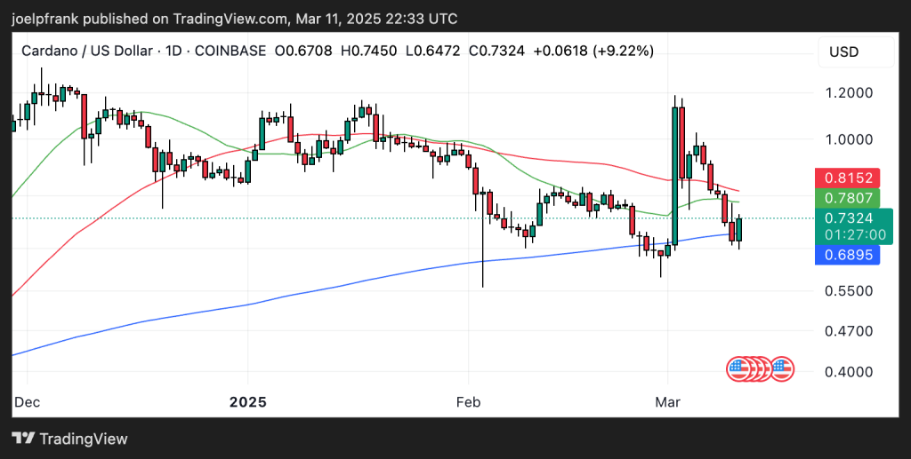 Cardano Price Set for a 50% Crash? 