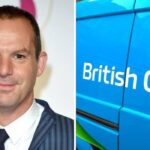 Martin Lewis’ 50-day warning to Octopus, OVO and E.On customers