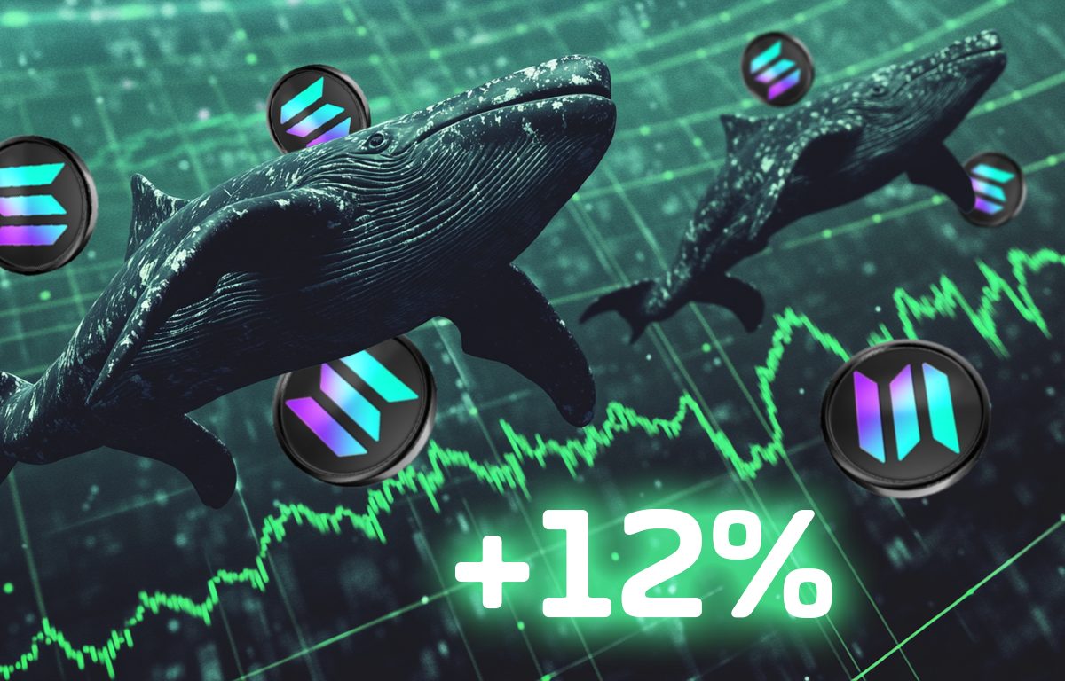 Solana Price Pumps 12% as Whales Inject $6 Billion – Is the Bear Market Over?