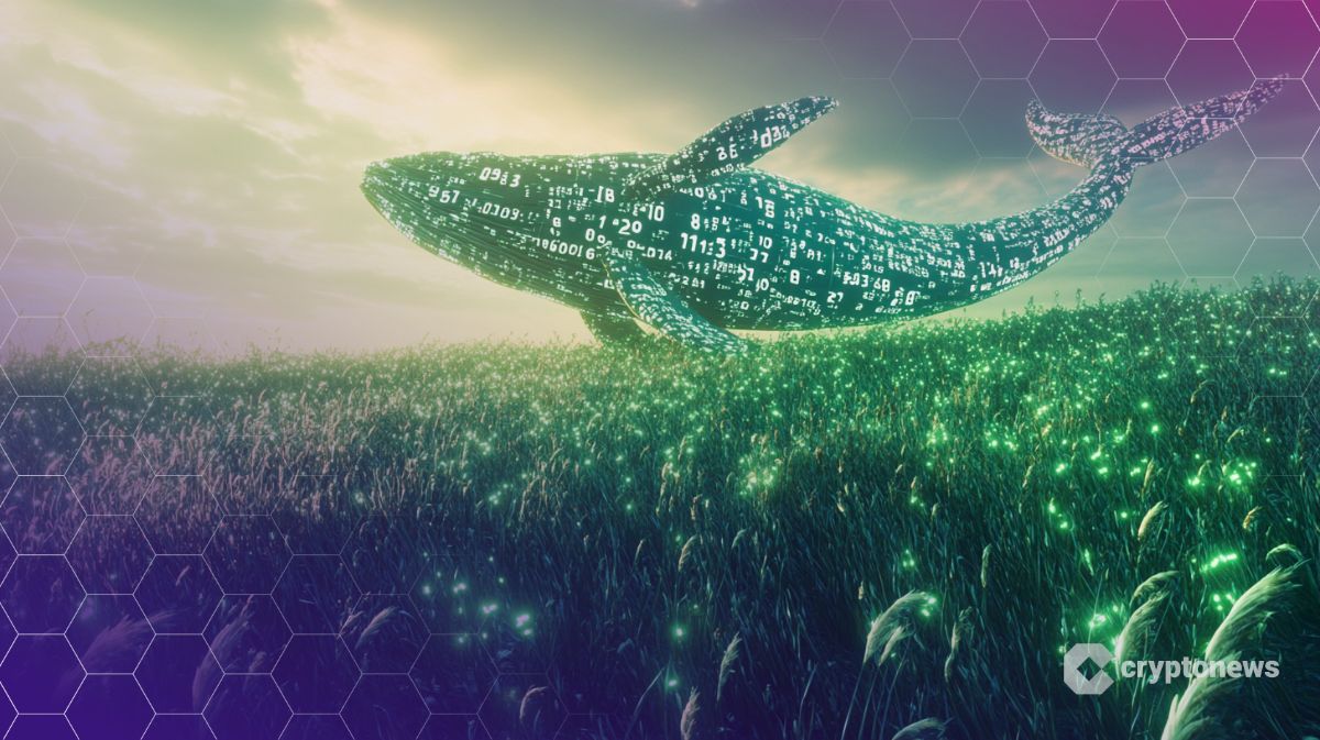 GRASS Down 15%, Volume Up 55% — Are Whales Seeing Something Retail Missed?