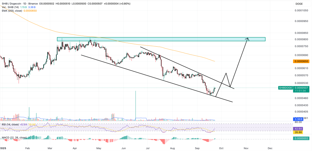 shib/doge price chart