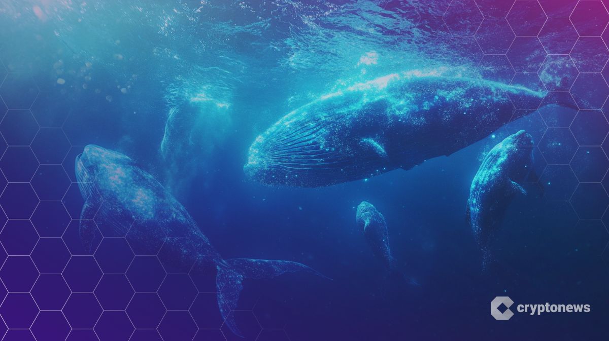 OpenSea to Launch SEA Token in Q1 2026, Allocating 50% to Community