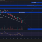 Crypto Price Prediction Today 19 February – XRP, Solana, Dogecoin