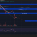 Crypto Price Prediction Today 25 February: XRP, Solana, Bitcoin