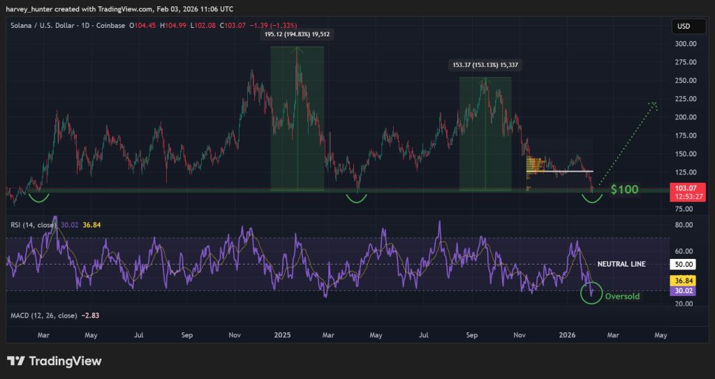 SOL USD 1-day chart - Oversold RSI aligns with historical support. Source: TradingView.