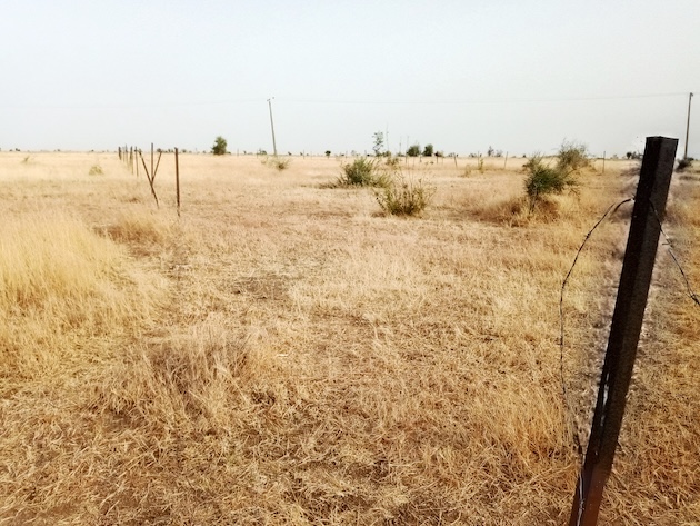 Desertification is causing land degradation in the Sahel. Credit: Promise Eze/IPS