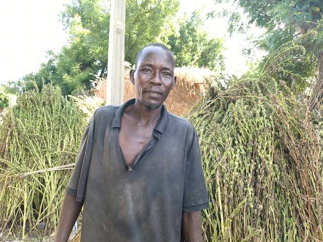 Tela Jubrin, a farmer, planted trees for the Great Green Wall in Jigawa State, Nigeria. Credit: Promise Eze/IPS