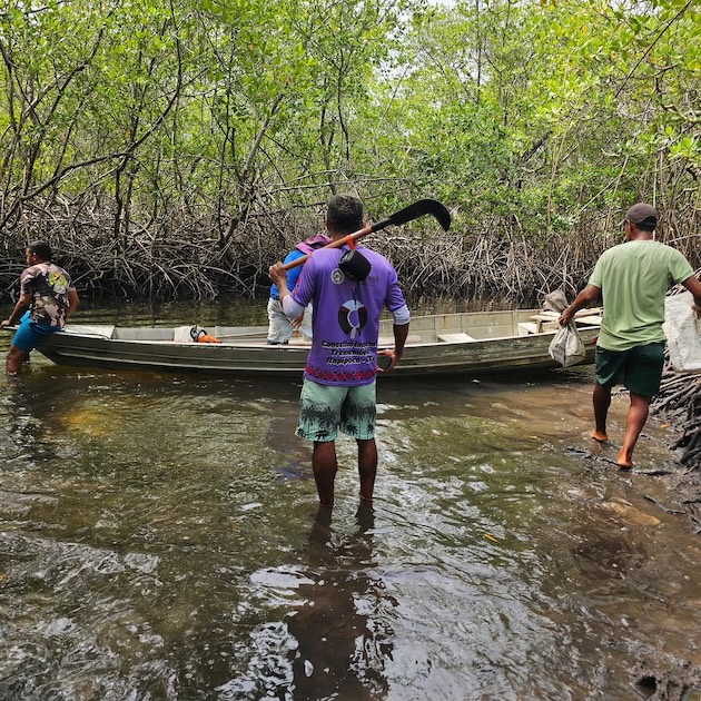 The Tremembé da Barra do Mundaú Indigenous Land protects 27 km of mangrove forest and 8 km of coastline. Credit: Samuel Tremembé