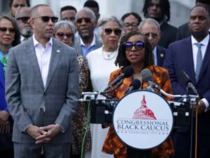 Delaware Judge Upholds Town Charter That Allows Corporations to Vote