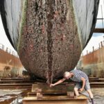 The GEF, Leads Global Drive to Tackle Shipping Threat to Oceans