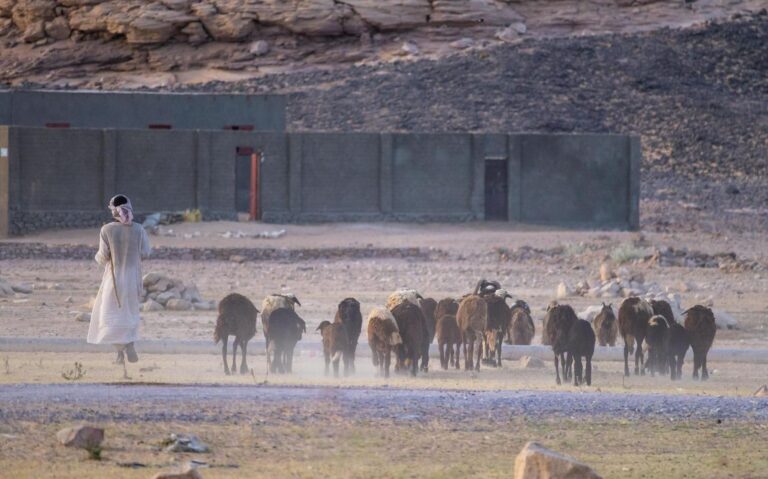 The humiliation of finding secret Israeli bases in Iraq