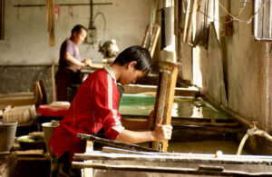 Bhutan’s WTO Path: Learning from the Global South