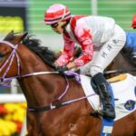 Box can provide you with a Boom at Sha Tin