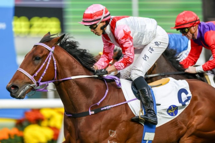 Box can provide you with a Boom at Sha Tin