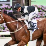 Cruz galloper set for a Winning Ovation in Premier Cup