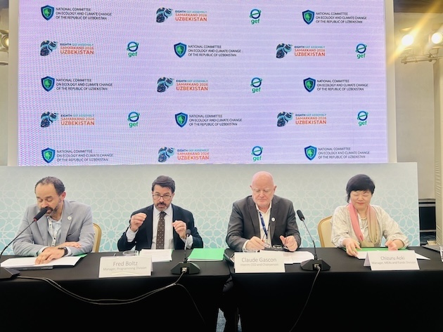 GEF Pushes Innovation, Blended Finance Ahead of the Eighth Assembly