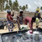 In West Africa’s Benin, Women Make Centuries-Old Salt Production Methods Sustainable