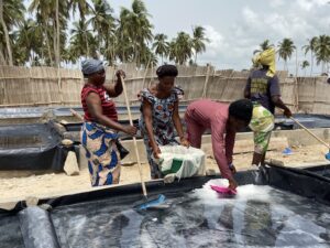 In West Africa’s Benin, Women Make Centuries-Old Salt Production Methods Sustainable
