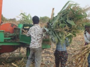 India: How a Tool Bank Beats Poverty in Rural Maharashtra