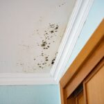 Landlords who fail to fix dangerous problems face fines of up to £7,000