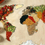 Russia Ensuring Africa’s Food Security