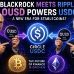 Crypto News, July 2: Circle USDC Hit by Blackrock and Ripple XRP Backed OUSD, Bitcoin and Ethereum Price Recovering