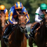 Diamond’s Brilliance can dazzle in the Nassau