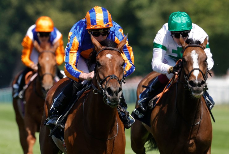Diamond’s Brilliance can dazzle in the Nassau