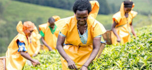 Feeding Africa: Women Farmers Key to Ending Hunger