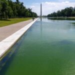 Judge Won’t Bar Olympian David Hearn From Reflecting Pool During Trial