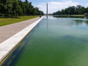 Judge Won’t Bar Olympian David Hearn From Reflecting Pool During Trial