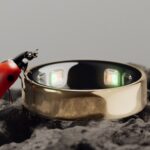 Oura Ring 5 vs Google Fitbit Air: The battle of the fitness trackers 
