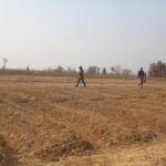 Preparing Agriculture for a New Era of Extreme Weather