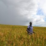 World Hunger Is Falling – We Know How To Keep It That Way