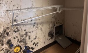 A trillion budget but military can’t ‘afford’ to attack mold on bases?
