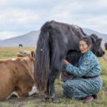 The Year of Pastoralists Must Be More Than Symbolic