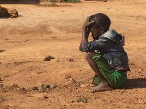 Western-Led Green Revolution Failing Africa