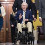 Chuck Grassley, 93, Laments a Democrat Could Replace Him If He Dies in Office