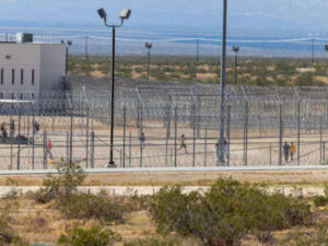 ICE “Disappears” Thousands Ordered to Be Deported From Detainee Locator