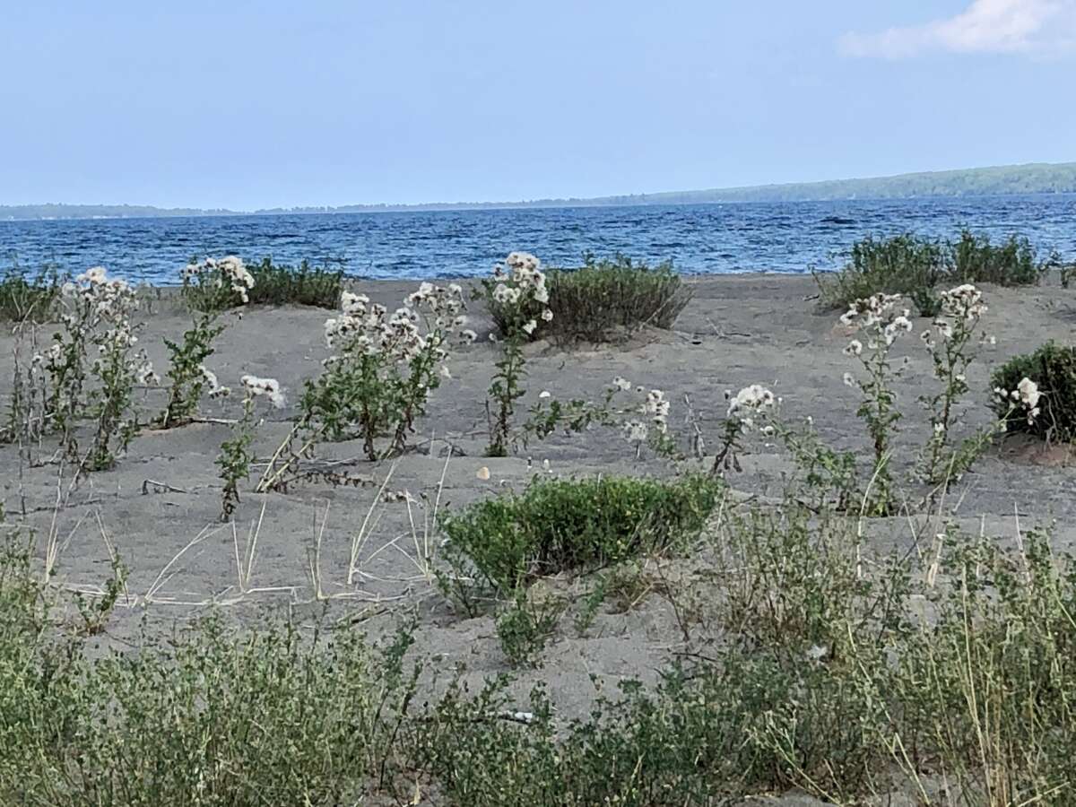 "Stamp sands" near Sand Point on the beach of the Keweenaw Bay of Lake Superior in Baraga, Michigan.