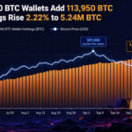 Mid-Sized Bitcoin Wallets Add 113,950 Bitcoin as Price Rally Nears Test