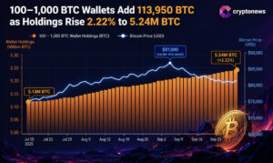 Mid-Sized Bitcoin Wallets Add 113,950 Bitcoin as Price Rally Nears Test