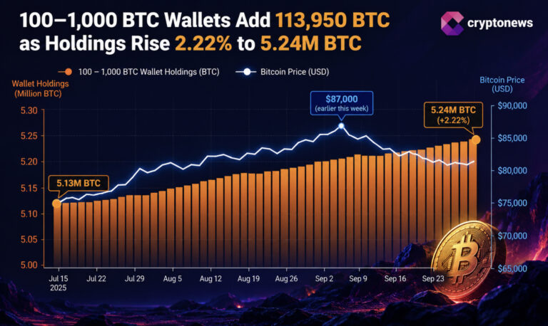 Mid-Sized Bitcoin Wallets Add 113,950 Bitcoin as Price Rally Nears Test
