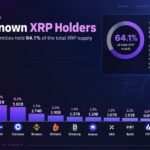 XRP Faces Key Levels as Top Holders Reveal Who Controls the Supply
