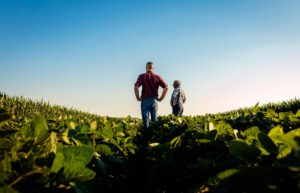 American farmers are slammed by war 7,000 miles away