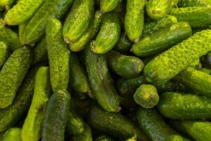 Autumn Budget 2026: In defence of cheaper gherkins, nature’s Ozempic