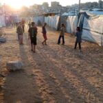 My Study of Dystopian Fiction Never Prepared Me for Reality Here in Gaza